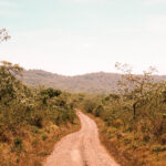 Uganda Reiseplanung: Alle Infos zu deiner Reise 3