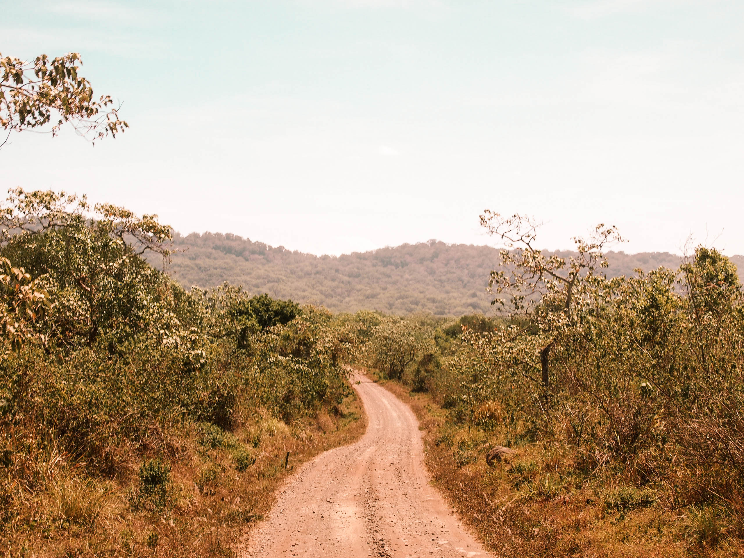 Uganda Reiseplanung: Alle Infos zu deiner Reise 1