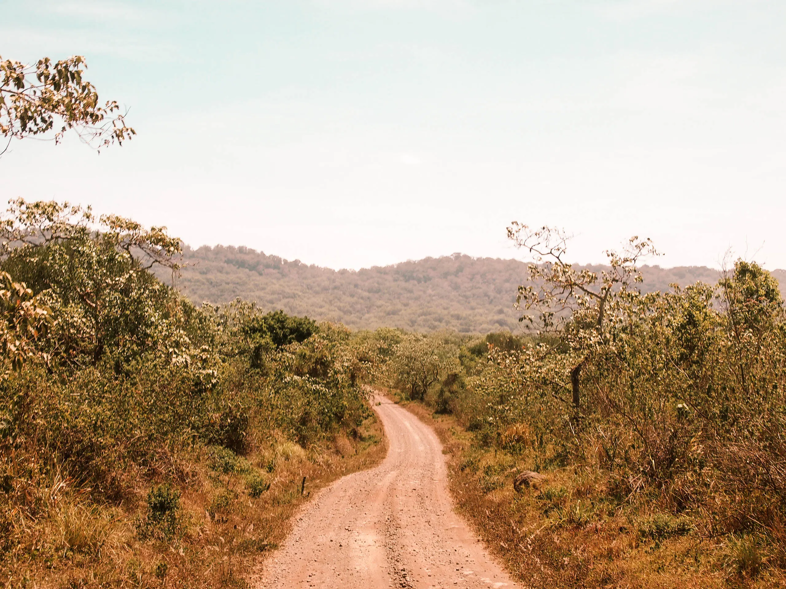 Uganda Reiseplanung: Alle Infos zu deiner Reise