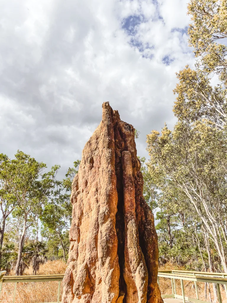 Roadtrip durch den Norden Australiens – Von Darwin bis Lake Argyle mit Kindern 1