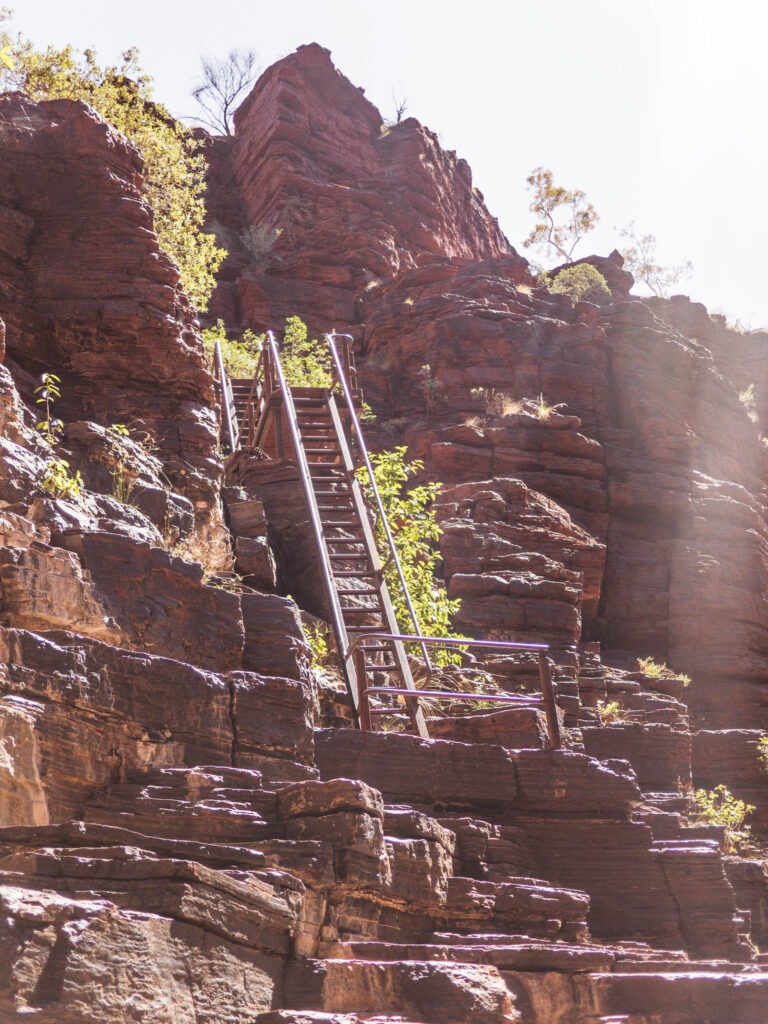 4 Wochen Westaustralien mit Camper 5