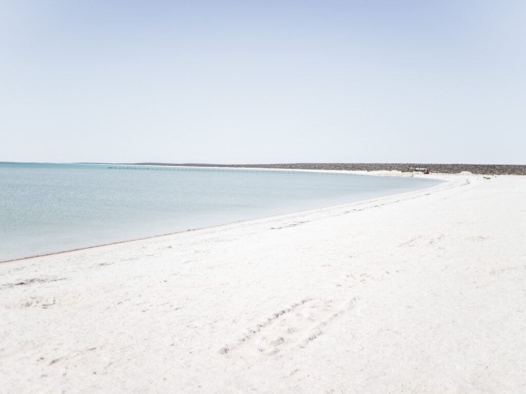 4 Wochen Westaustralien mit Camper 15