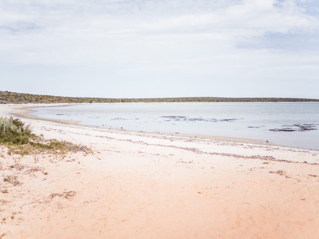4 Wochen Westaustralien mit Camper 19