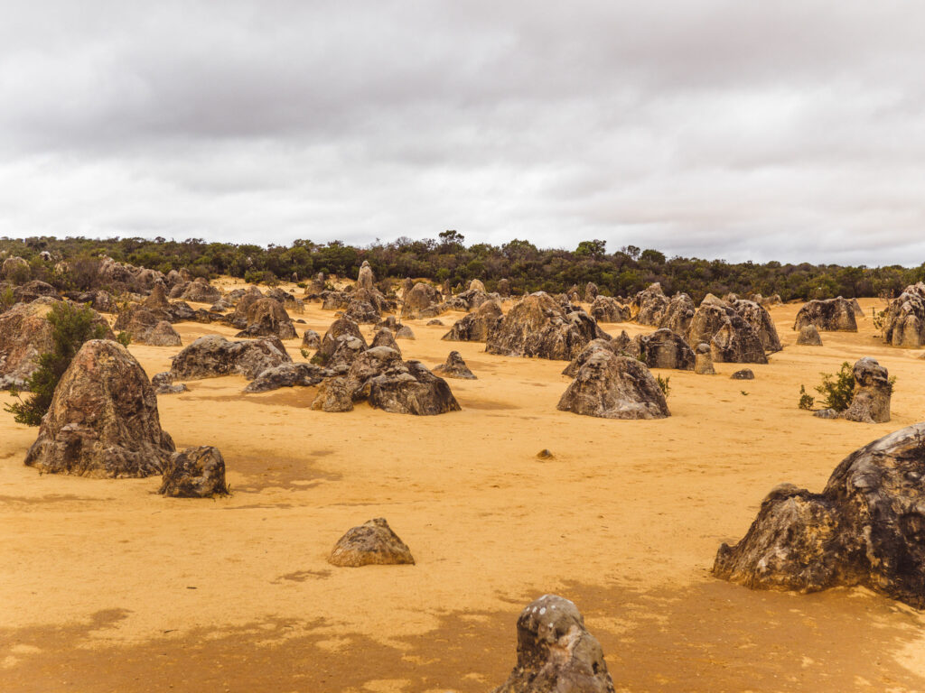 4 Wochen Westaustralien mit Camper 26