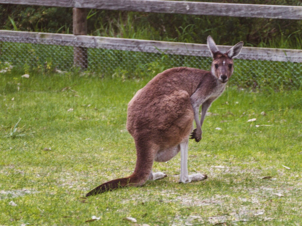 Die schönsten Stellplätze in Australien 6