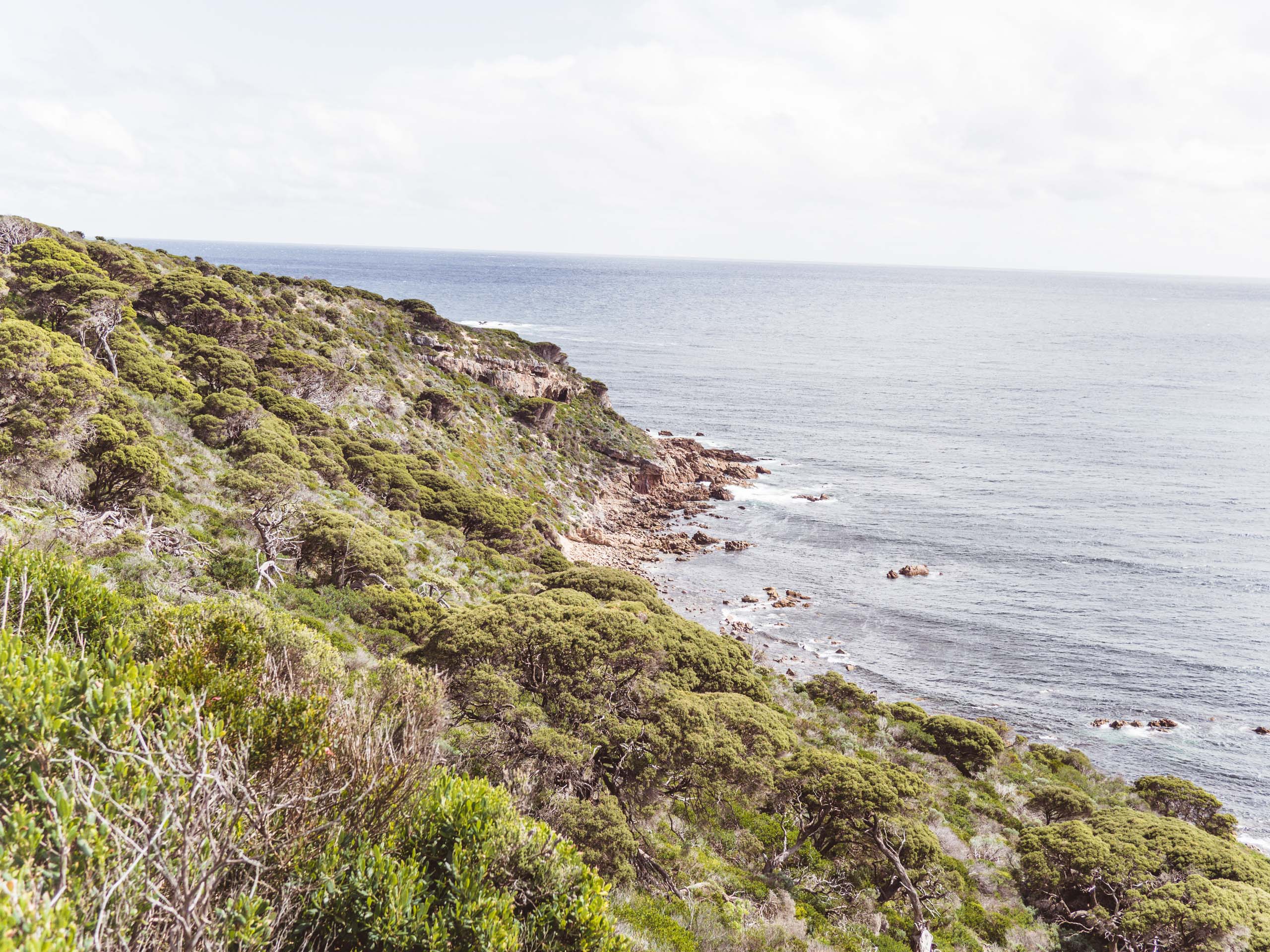 4 Wochen Westaustralien mit Camper 32