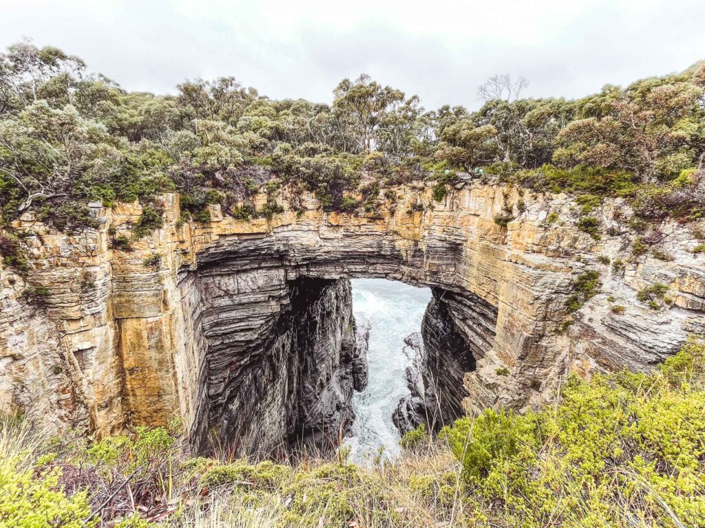 2 Wochen Tasmanien mit Camper 2
