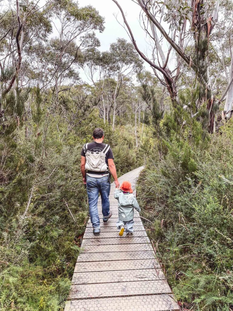 2 Wochen Tasmanien mit Camper 3