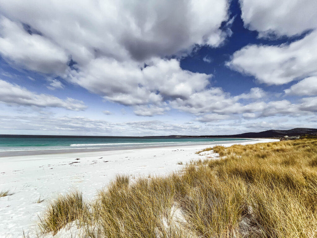 Tasmanien mit camper