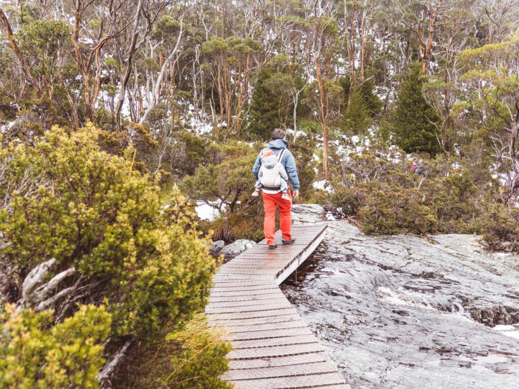 2 Wochen Tasmanien mit Camper 17