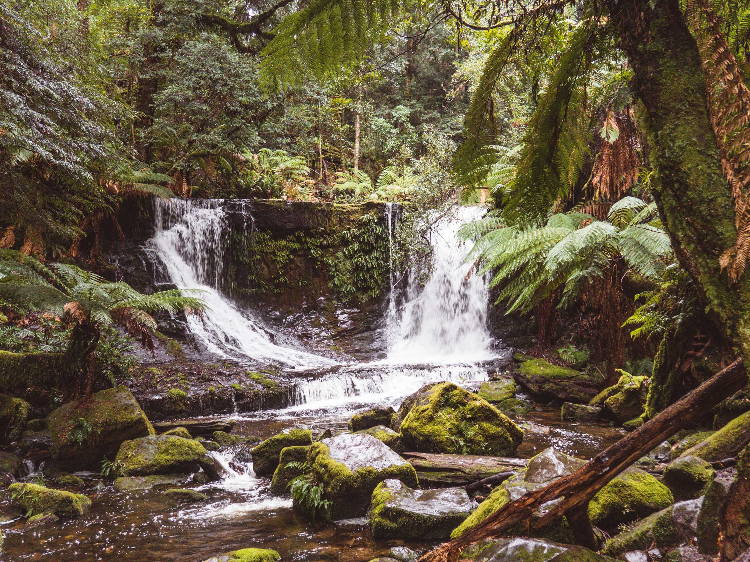 2 Wochen Tasmanien mit Camper 21