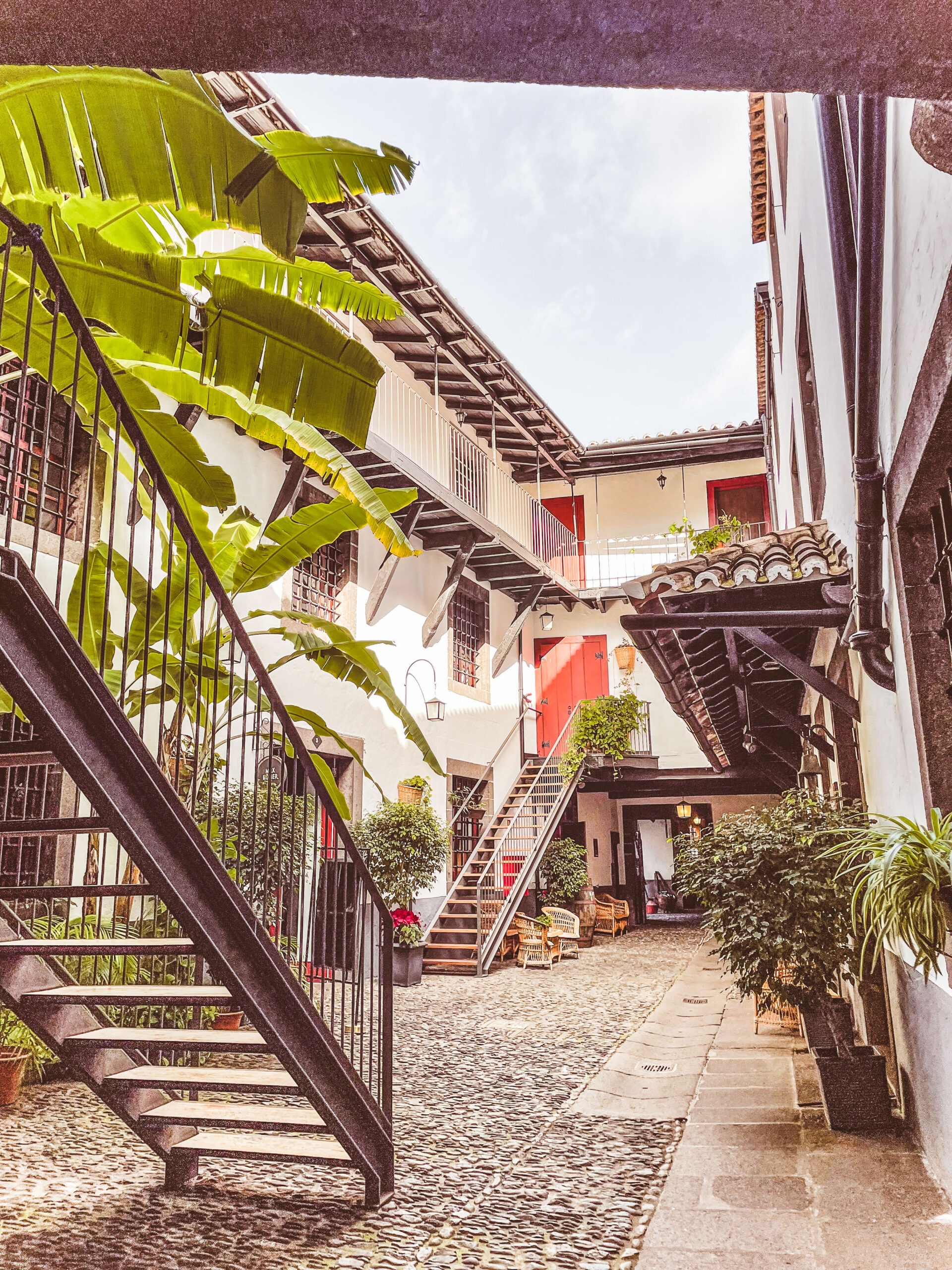 Madeira mit Kindern - Tipps, Reisezeit und Highlights 5