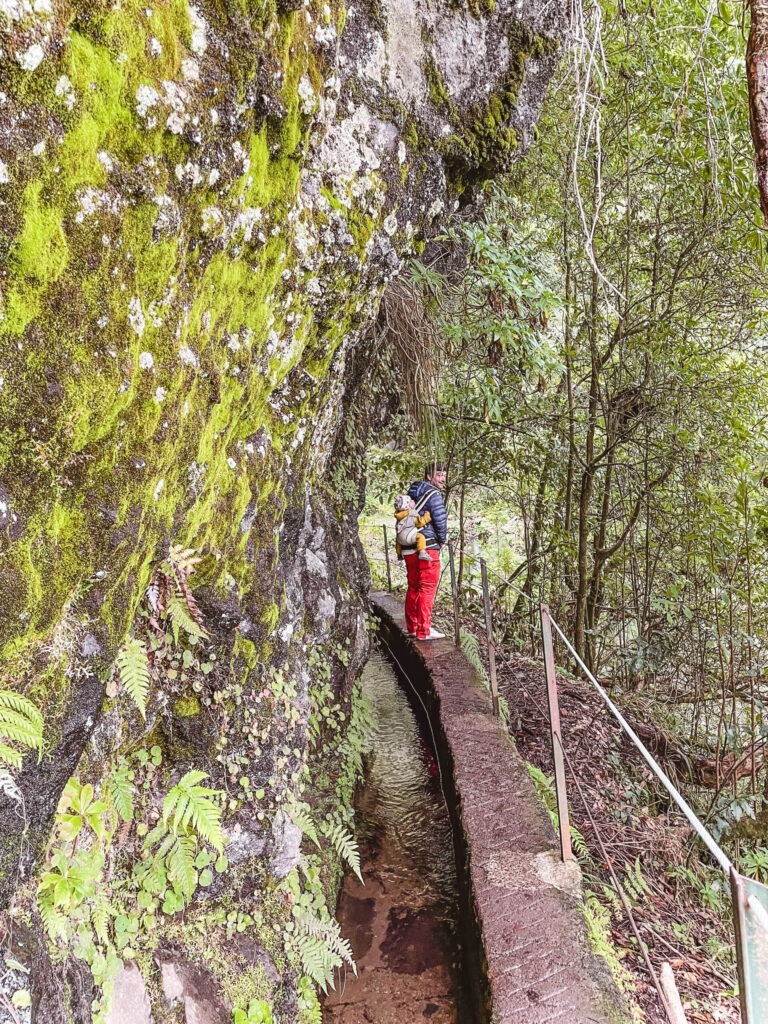 madeira mit kindern