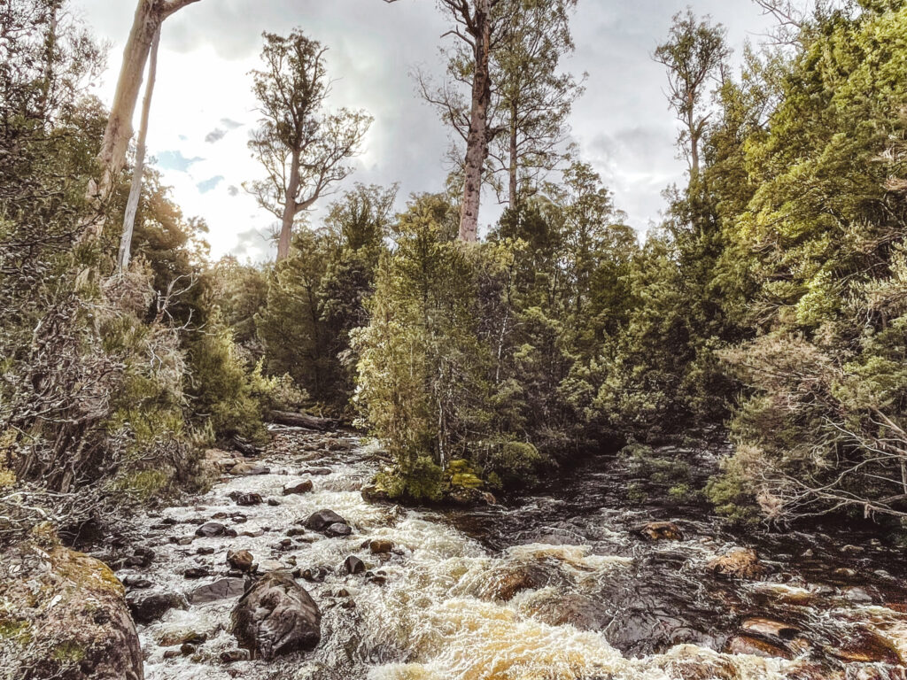 Die schönsten Stellplätze in Tasmanien mit dem Camper 2