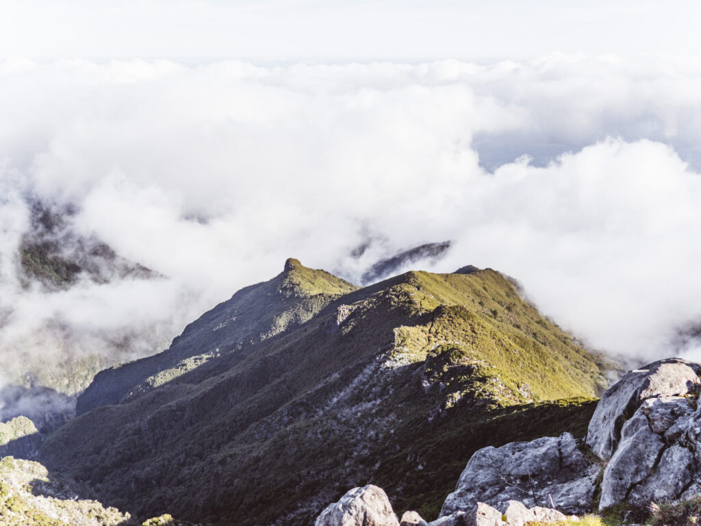 Madeira mit Kindern - Tipps, Reisezeit und Highlights 3