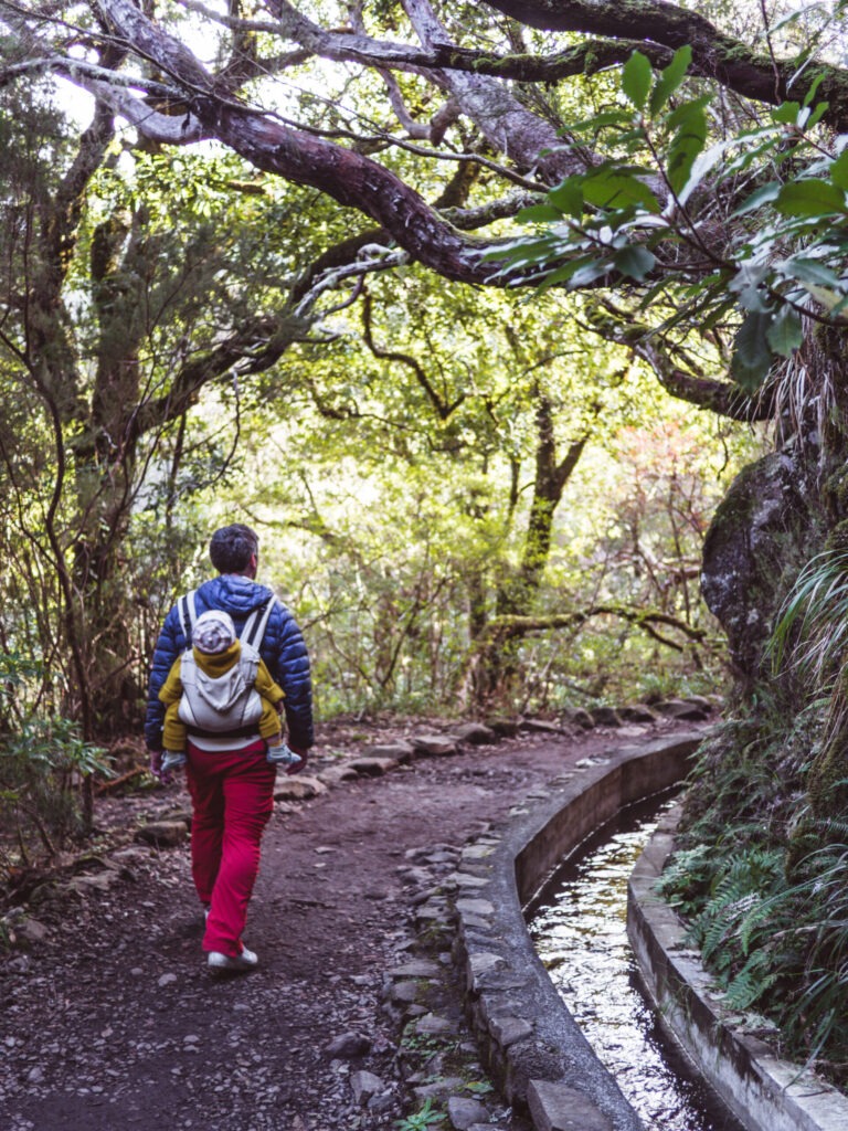 Wandern auf Madeira mit Baby und Kleinkind: Unsere schönsten Touren 3