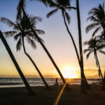 Maui Sehenswürdigkeiten: Die Highlights der Insel 15