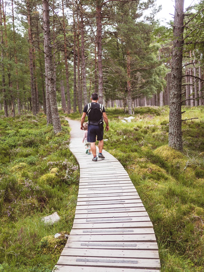 Schottland mit Camper: Route, Highlights und praktische Tipps 8 schottland camper