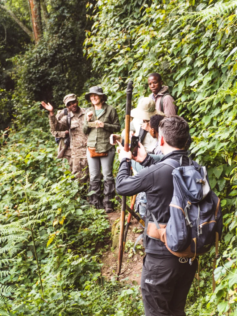 Gorilla Trekking in Uganda: Alles, was du wissen musst 2 gorilla trekking uganda