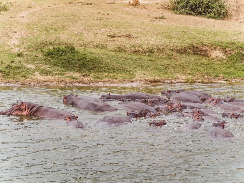 2 Wochen Selbstfahrer Route durch Uganda 9