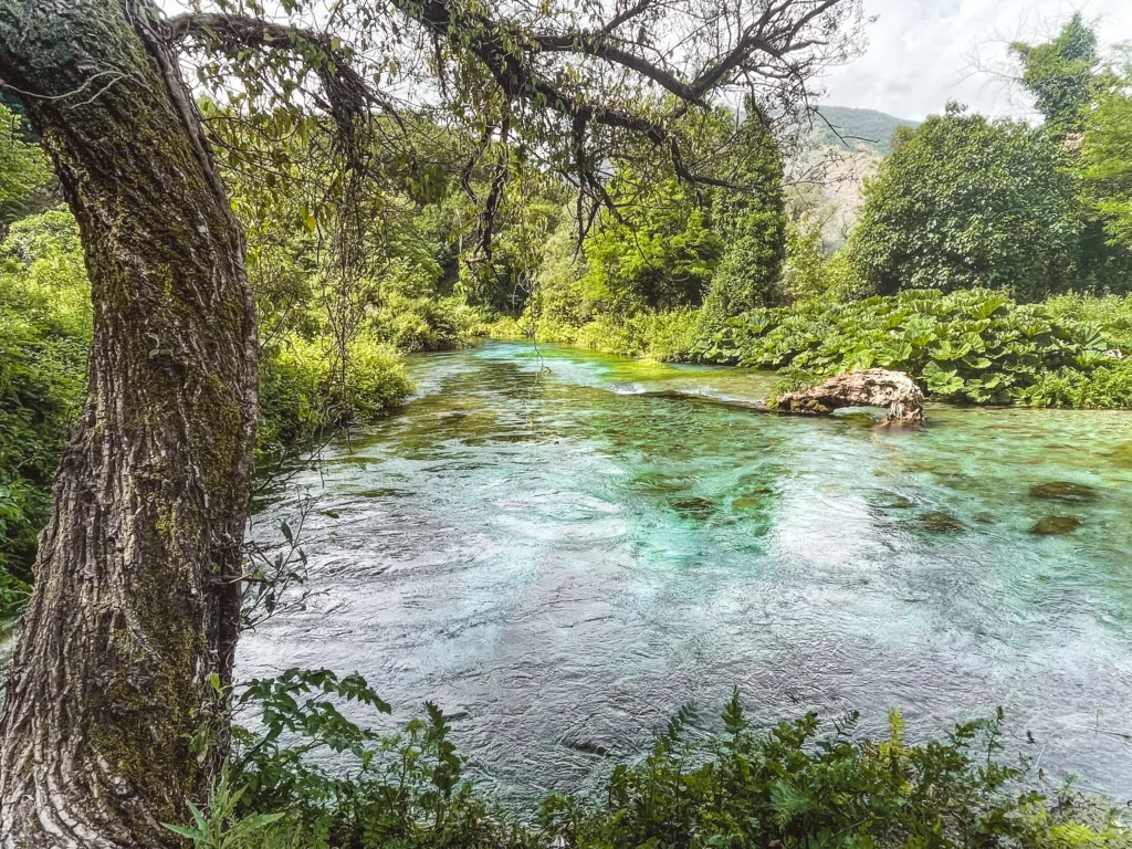 albanien - siry i kalter