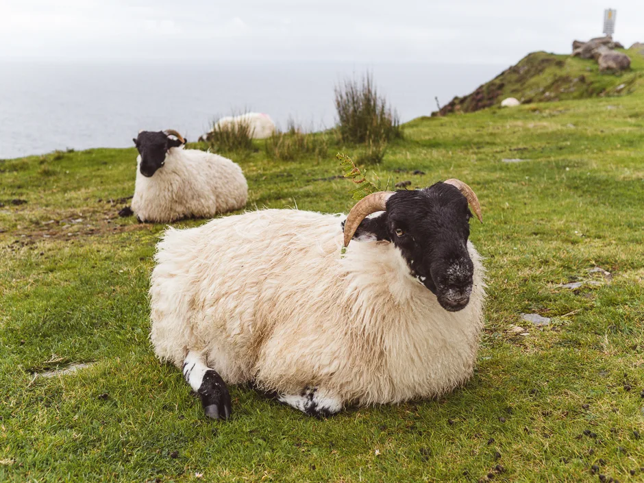 Irland – Reisevorbereitungen und Tipps